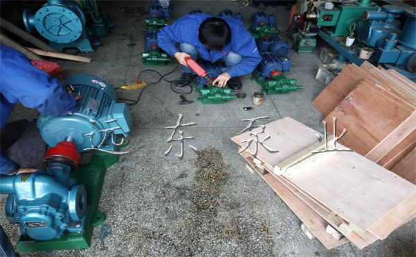 KCB齿轮油泵整机图