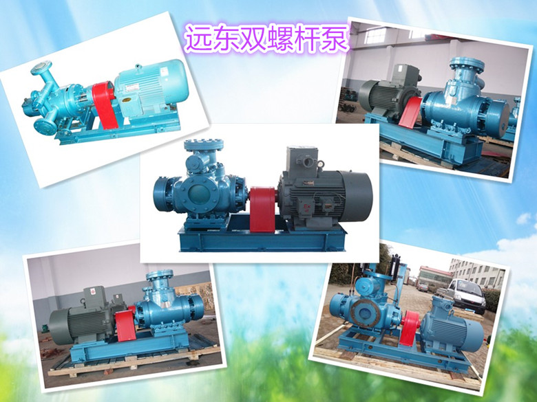 远东双螺杆泵展示