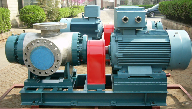 W不锈钢双螺杆泵