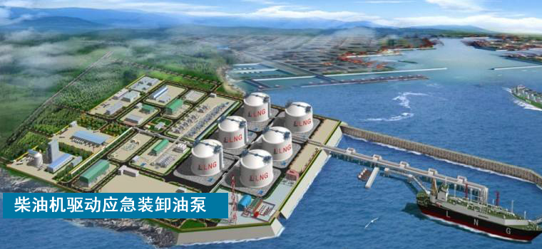 柴油机驱动齿轮泵