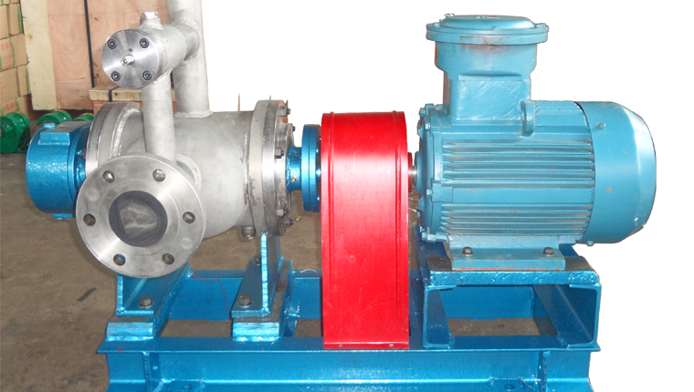 W不锈钢钢双螺杆泵