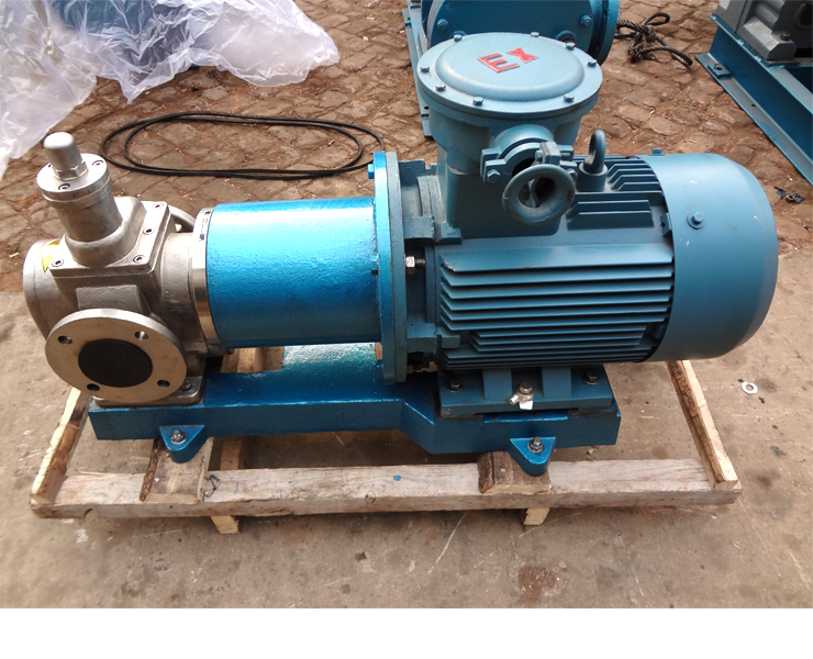 不锈钢防爆磁力齿轮泵