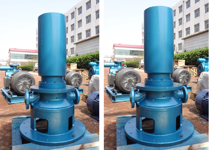 3G70&times;6C2高压螺杆泵