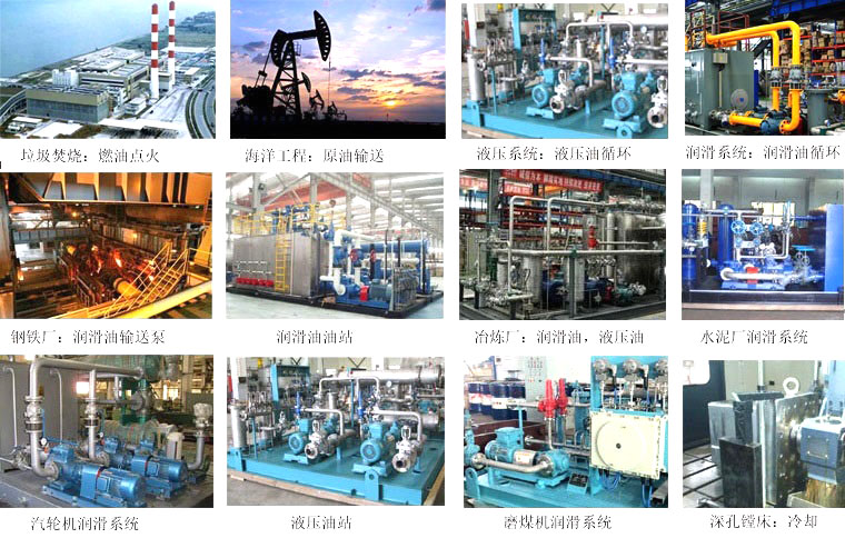 点火油泵应用 点火油泵应用