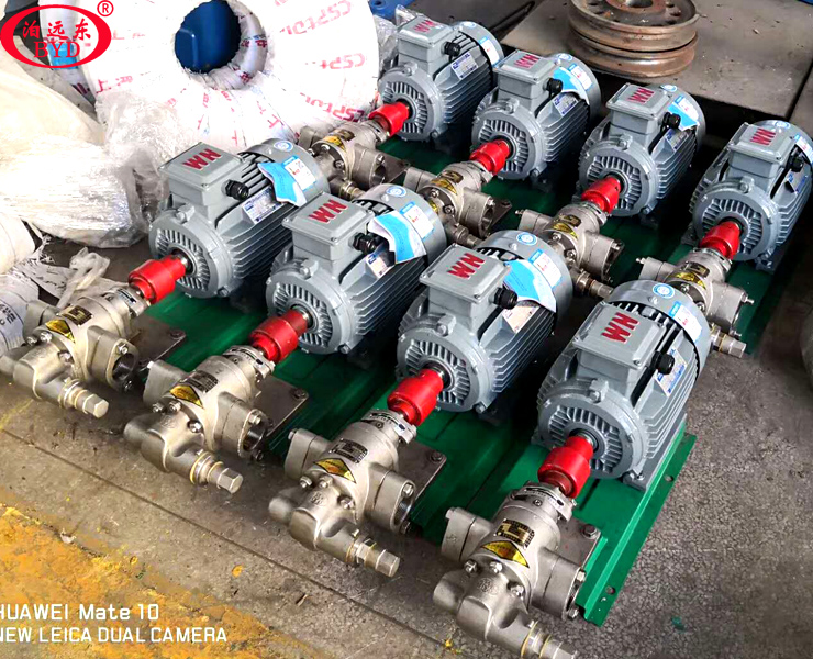 KCB不锈钢齿轮泵