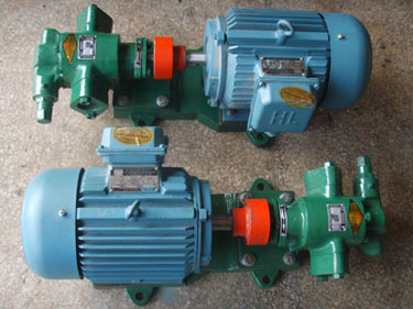 泊头远东齿轮泵