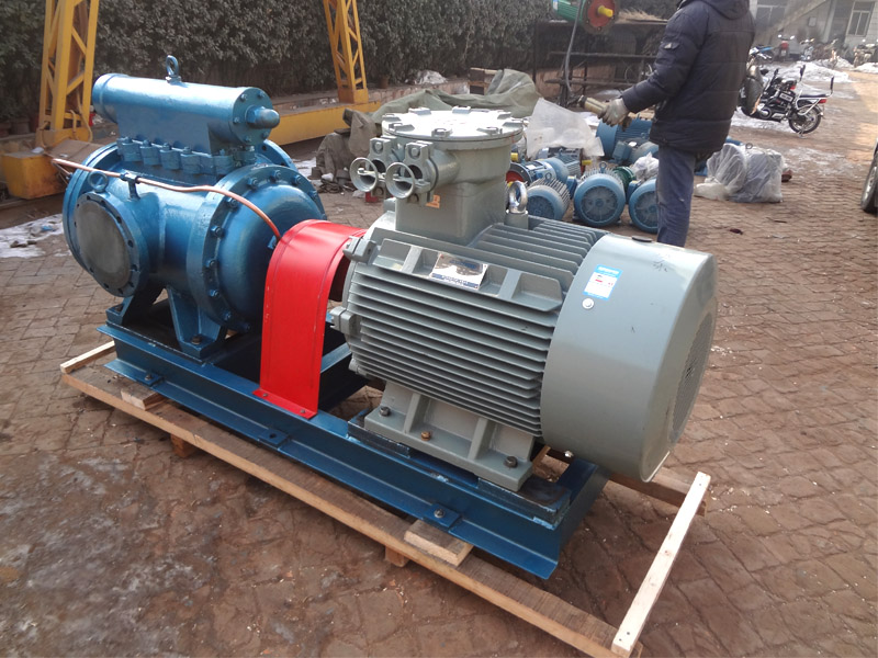 3GS160D&times;3W21螺杆泵