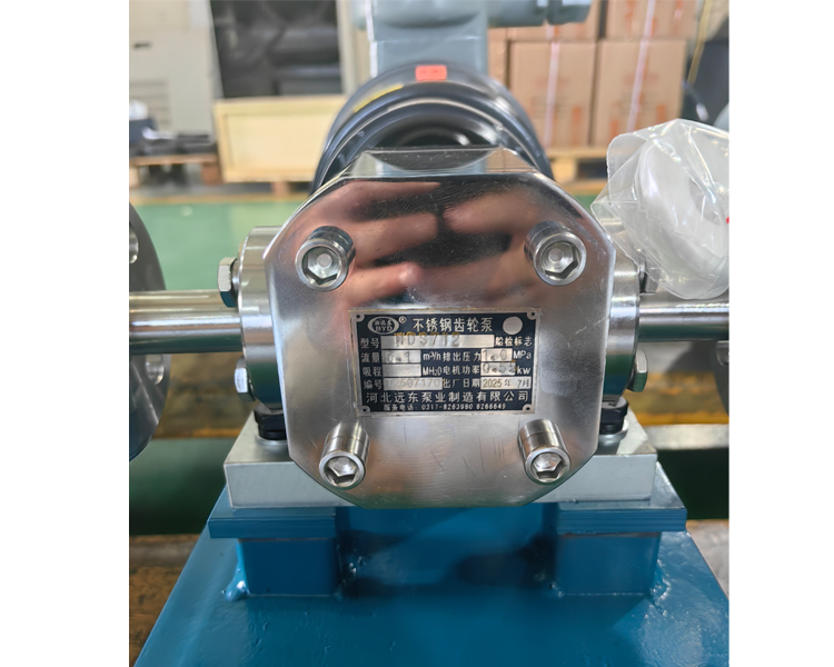 不锈钢齿轮泵